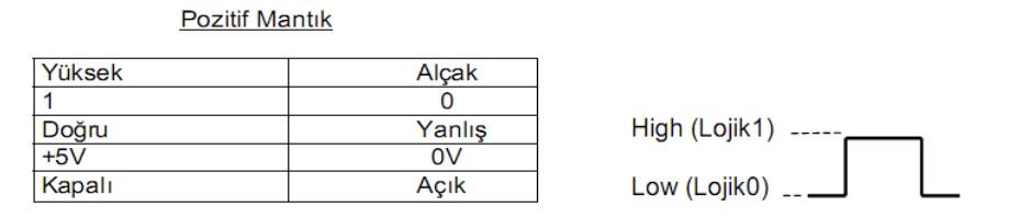 sekil 1